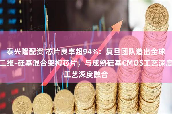 泰兴隆配资 芯片良率超94%：复旦团队造出全球首颗二维-硅基混合架构芯片，与成熟硅基CMOS工艺深度融合