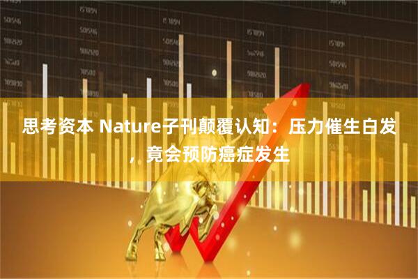 思考资本 Nature子刊颠覆认知：压力催生白发，竟会预防癌症发生