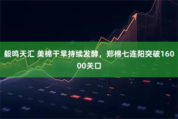 毅鸣天汇 美棉干旱持续发酵,郑棉七连阳突破16000关口