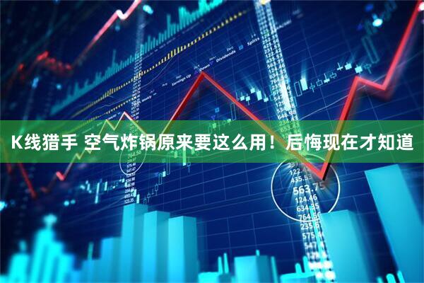 K线猎手 空气炸锅原来要这么用！后悔现在才知道